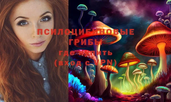 крисы Лабытнанги