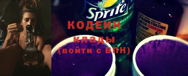 крисы Лабытнанги