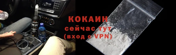 шишки Ладушкин