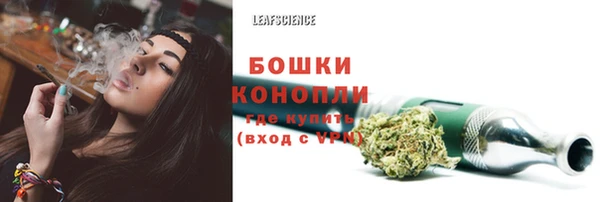 мяу мяу мука Кулебаки