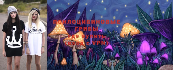 крисы Лабытнанги