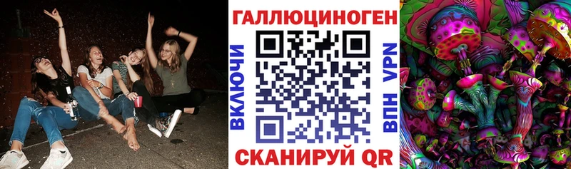 Псилоцибиновые грибы GOLDEN TEACHER  Сосновый Бор 
