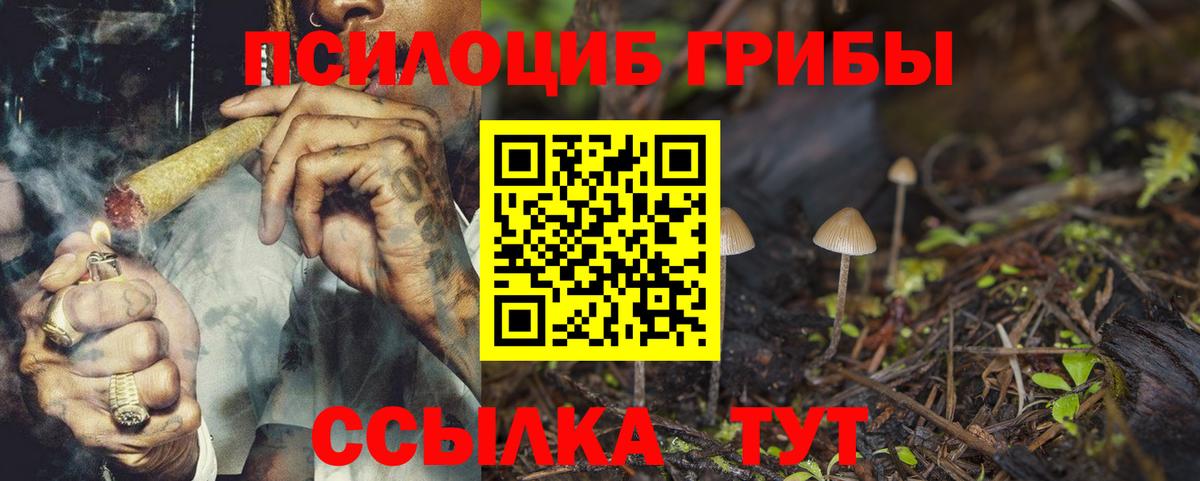 Галлюциногенные грибы Cubensis  Псилоцибиновые грибы мухоморы  Вход с VPN  Сосновый Бор 